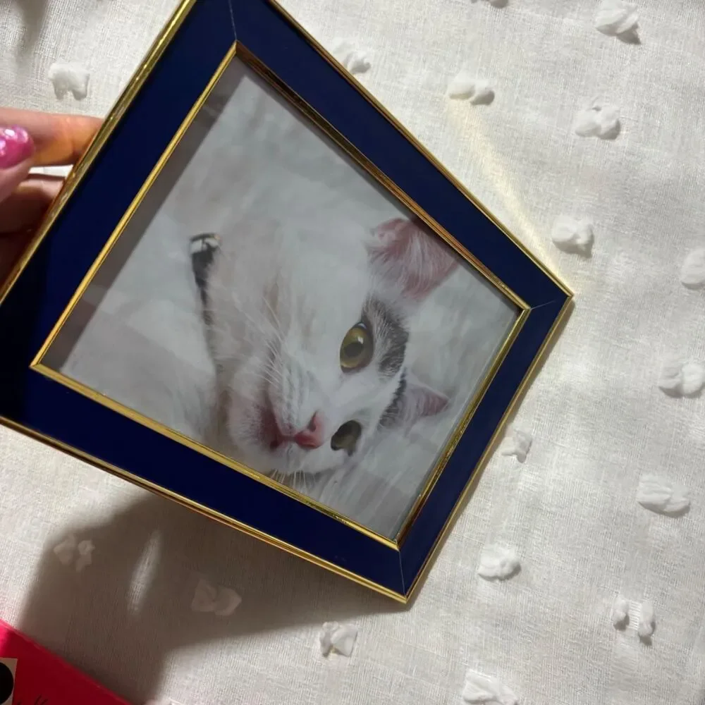 Source Unknown cats handmade